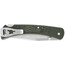 Buck Knives 110 Slim Select EHM Couteau, vert/argent
