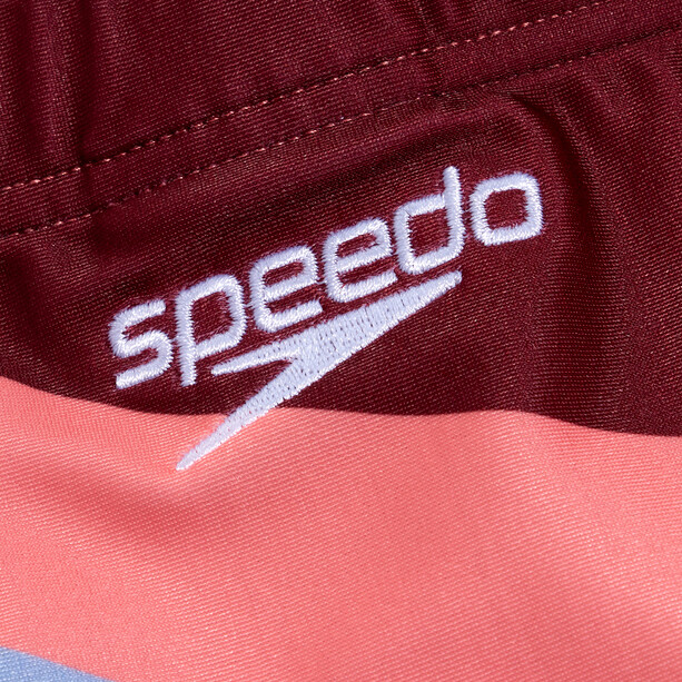 speedo Printed Logo Volley 2-Teiliger Bikini Damen bunt