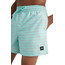 O'Neill Cali First Zwemshorts Heren, turquoise