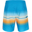 O'Neill Heat Stripe Line Boardshorts Hombre, azul/Multicolor