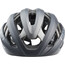 Giro Aries Spherical Helm schwarz