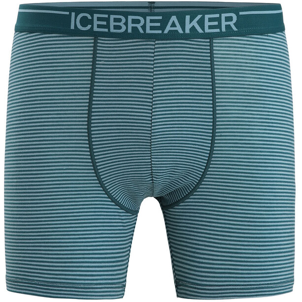 Icebreaker Anatomica Boxershorts Herren grün