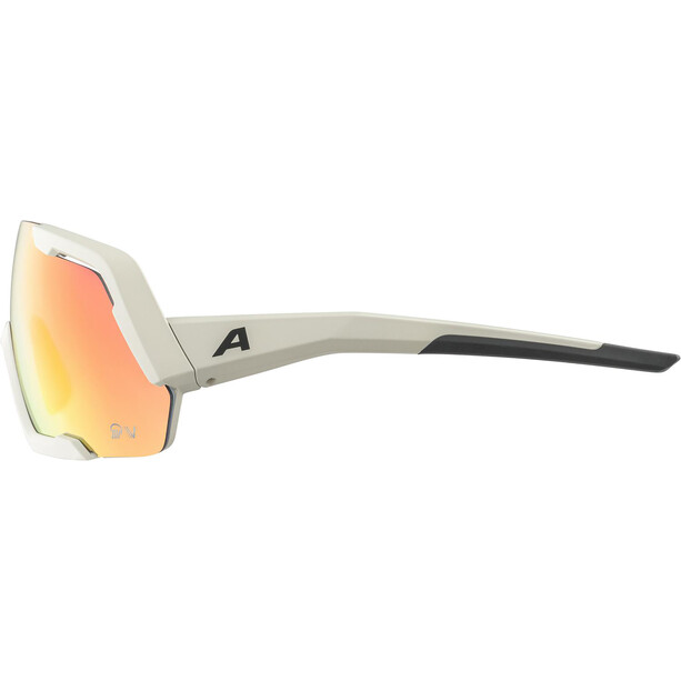 Alpina Rocket QV Sonnenbrille grau