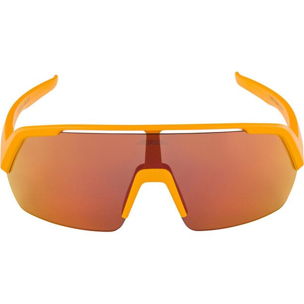 Alpina Turbo HR Sonnenbrille gelb