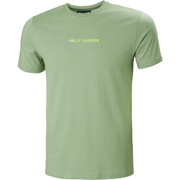 Helly Hansen Core Graphic T-Shirt Men, vert