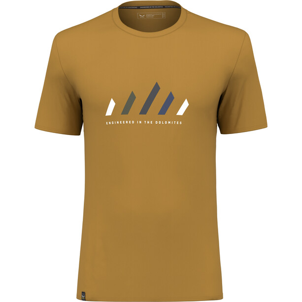 SALEWA Pure Stripes Dry T-Shirt Herren braun