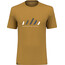 SALEWA Pure Stripes Dry T-Shirt Homme, marron