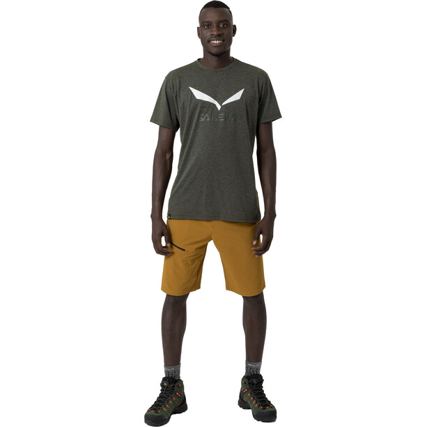 SALEWA Solidlogo Dry T-Shirt À Manches Courtes Homme, olive