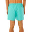 Rip Curl Offset 15'' Volley Boardshorts Heren, turquoise