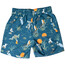 KAVU Costa Shorts Heren, blauw/bont