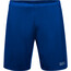GOREWEAR R5 2-in-1 Shorts Herren blau