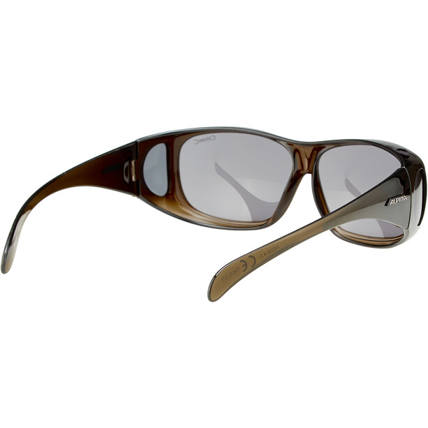 Alpina Sunglasses Overview black transparent/black