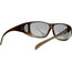 Alpina Sunglasses Overview, negro