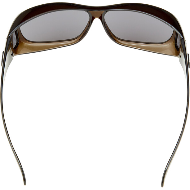 Alpina Sunglasses Overview black transparent/black