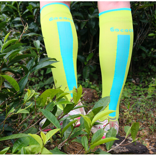 Gococo Compression Superior Socken grün