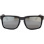 Oakley Holbrook Sunglasses Men matte black/prizm black polarized