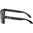 Oakley Holbrook Sunglasses Men matte black/prizm grey