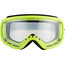 Giro Tempo MTB Goggles grün