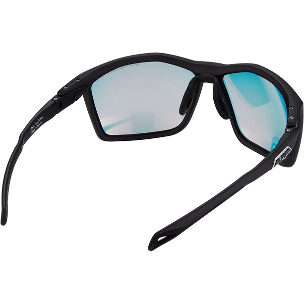 Alpina Twist Five QVM+ Glasses black matt