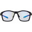 Alpina Twist Five VLM+ Glasses black matt