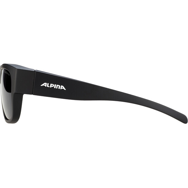 Alpina Overview II P Bril, zwart