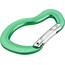 AustriAlpin Micro Bent Snapgate Carabiner green anodised