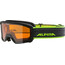 Alpina Scarabeo Doubleflex S2 Goggles Kinder schwarz/grün