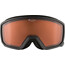 Alpina Scarabeo S DH Goggles schwarz