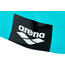 arena Logo Moulded Bonnet de bain, turquoise