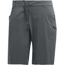 adidas TERREX TrailX Pantalones cortos Mujer, gris gris