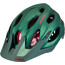 Alpina Carapax 2.0 Helmet seamoss