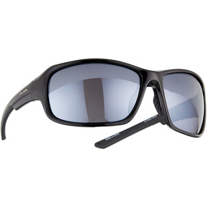 Alpina Lyron Glasses black-grey black-grey
