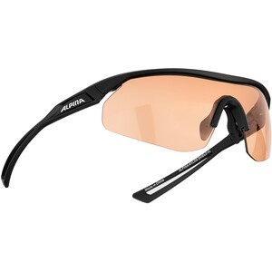 Alpina Nylos Shield VL Brille schwarz schwarz