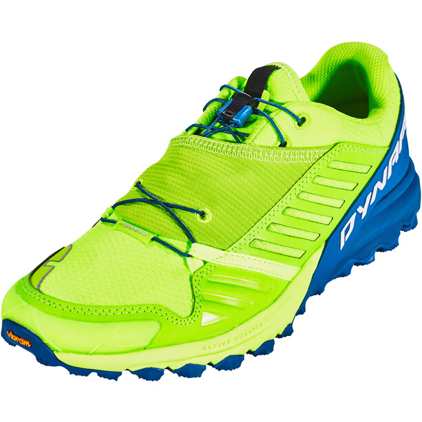 Dynafit Alpine Pro Schuhe Herren grün/blau