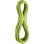 Edelrid Apus Pro Dry Cuerda 7,9mm x 70m, verde