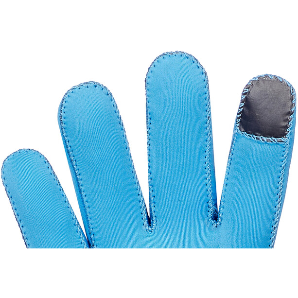 Endura FS260-Pro Nemo II Rękawiczki Mężczyźni, niebieski